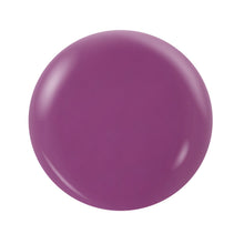 Load image into Gallery viewer, OG194 PURPLE HAZE DUO