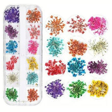 Load image into Gallery viewer, Nail Art - Dried Flowers